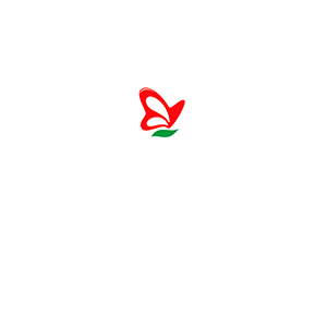 LALA GRIEGO BLANCO