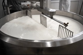 proceso de pasteurización de la leche fresca